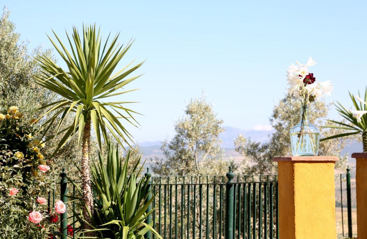 Huerta La Lapa Holiday home *