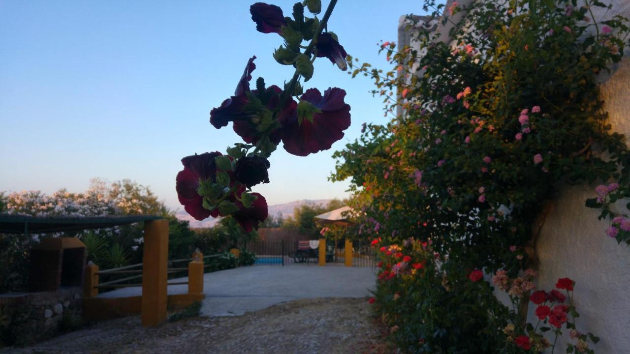Huerta La Lapa Holiday home