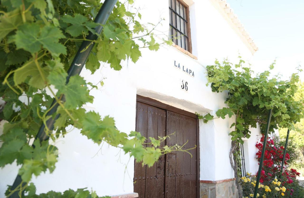 Huerta La Lapa Holiday home Canete la Real
